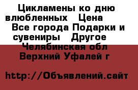 Цикламены ко дню влюбленных › Цена ­ 180 - Все города Подарки и сувениры » Другое   . Челябинская обл.,Верхний Уфалей г.